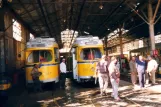 Alexandria Gelenkwagen 803 im Depot Karmus (2002)