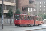 Beograd Straßenbahnlinie 12 mit Gelenkwagen 347 auf Nemanjina (2008)