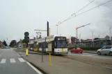 Gent Straßenbahnlinie 24 mit Niederflurgelenkwagen 6306 am Melle Leeuw (2014)