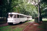 Prag Straßenbahnlinie 12 mit Triebwagen 6773 am Výstaviště Holešovice (2001)