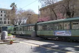Rom Straßenbahnlinie 19 mit Gelenkwagen 7081 am Risorgimento S.Pietro (2010)