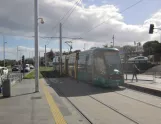 Santa Cruz de Tenerife Straßenbahnlinie 1 mit Niederflurgelenkwagen 14 auf Calle Radio Aficionados (2017)