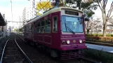 Tokio Toei Streetcar Arakawa Line mit Triebwagen 7706 am Omokagebashi (2017)