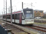 Aarhus Niederflurgelenkwagen 1104-1204 auf der Seitenbahn bei Odder (2024)