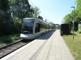 Aarhus Stadtbahn Linie L1 mit Niederflurgelenkwagen 2104-2204 am Hovmarken (2023)