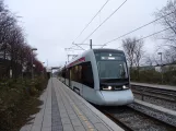 Aarhus Stadtbahn Linie L1 mit Niederflurgelenkwagen 2108-2208 am Torsøvej (2019)