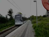 Aarhus Stadtbahn Linie L2 mit Niederflurgelenkwagen 1105-1205 am Rosenhøj  in Richtung Aarhus. gesehen (2021)