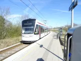 Aarhus Stadtbahn Linie L2 mit Niederflurgelenkwagen 1114-1214 am Beder (2019)