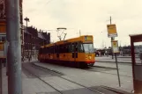 Amsterdam Gelenkwagen 814 am Bahnhof Centraal (1981)