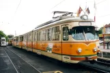 Bad Dürkheim Gelenkwagen 1017 am Rhein-Haardtbahn (2003)