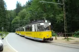 Bad Schandau Kirnitzschtal 241 mit Triebwagen 2 am Beuthenfall (2011)