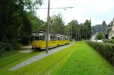 Bad Schandau Kirnitzschtal 241 mit Triebwagen 4 am Kurpark (2011)