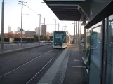 Barcelona Straßenbahnlinie T4 mit Niederflurgelenkwagen 16 am Ca l'Aranyó (2015)