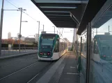 Barcelona Straßenbahnlinie T6 mit Niederflurgelenkwagen 11 am La Farinera (2015)