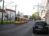 Berlin Schnelllinie M1 mit Niederflurgelenkwagen 1037 auf Breite Strasse, Pankow (2016)