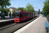 Bielefeld Straßenbahnlinie 1 mit Gelenkwagen 566 am Sudbrackstraße (2010)