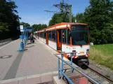 Bielefeld Straßenbahnlinie 3 mit Gelenkwagen 551 am Stieghorst (2020)