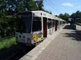 Bielefeld Straßenbahnlinie 3 mit Gelenkwagen 556 am Stieghorst (2020)