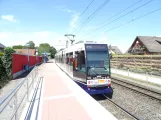 Bielefeld Straßenbahnlinie 3 mit Gelenkwagen 582 am Elpke (2020)