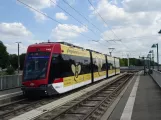 Braunschweig Straßenbahnlinie 1 mit Niederflurgelenkwagen 1463 am Sachsendamm (2020)