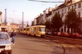 Brüssel Gelenkwagen 7901 auf Avenue du Roi (1981)