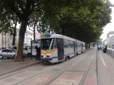 Brüssel Straßenbahnlinie 51 mit Gelenkwagen 7919 am Lemonnier (2017)