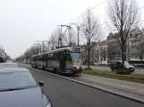 Brüssel Straßenbahnlinie 81 mit Gelenkwagen 7937 auf Avenue de Tervueren (2019)
