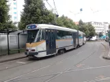 Brüssel Straßenbahnlinie 81 mit Gelenkwagen 7961 am Bara (2017)