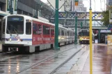 Buffalo Straßenbahnlinie Metro Rail mit Gelenkwagen 115 auf Main Street (2013)