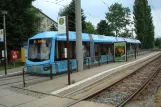 Chemnitz Straßenbahnlinie 5 mit Niederflurgelenkwagen 904 am Gablenz (2008)