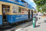 Christchurch Tramway Linie mit Triebwagen 1888 vor Christchurch Cathedral (2023)