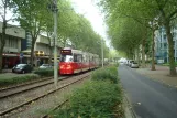 Den Haag Straßenbahnlinie 6 mit Gelenkwagen 3099 am Vlamenburg (2014)