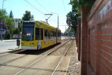 Dessau Straßenbahnlinie 1 mit Niederflurgelenkwagen 303 am Friedhof lll (2015)