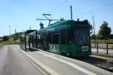 Dessau Straßenbahnlinie 3 mit Niederflurgelenkwagen 308 am Junkerspark (2015)