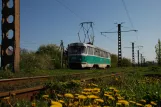 Donezk Straßenbahnlinie 1 mit Triebwagen 962 auf Putylivs'ka Street, von der Seite gesehen (2011)