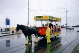 Douglas, Isle of Man Horse Drawn Trams mit Offen Pferdebahnwagen 33 am Sea Terminal (2006)