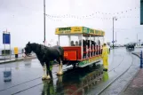 Douglas, Isle of Man Horse Drawn Trams mit Offen Pferdebahnwagen 33 am Sea Terminal Vorderansicht (2006)