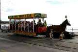 Douglas, Isle of Man Horse Drawn Trams mit Offen Pferdebahnwagen 33 auf Loch Promenade (2006)