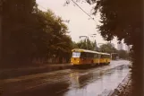 Dresden Straßenbahnlinie 16 mit Triebwagen 222-479-8 auf Ackermannstraße (1990)