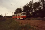 Dresden Straßenbahnlinie 5 mit Triebwagen 222 310-4 nahe bei Coswig (1983)