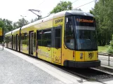 Dresden Straßenbahnlinie 8 mit Niederflurgelenkwagen 2619 am Hellerau Kiefernweg (2019)
