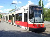Dresden Straßenbahnlinie 8 mit Niederflurgelenkwagen 2625 "Partnerstadt Florenz" am Albertplatz (2019)