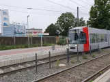 Düsseldorf Straßenbahnlinie 704 am Auf's Hennekamp (2020)