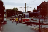 Erfurt Straßenbahnlinie 1 mit Gelenkwagen 485 am Gothaer Platz (1990)