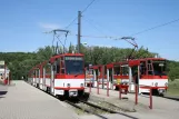 Erfurt Straßenbahnlinie 5 mit Gelenkwagen 530 am Zoopark (2008)