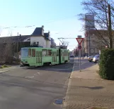 Frankfurt (Oder) Straßenbahnlinie 2 mit Gelenkwagen 219 am Messegelände (2022)