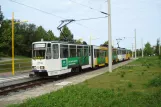 Gera Straßenbahnlinie 3 mit Gelenkwagen 351 am Bieblach-Ost (2015)