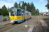 Gotha Regionallinie 4 Thüringerwaldbahn mit Gelenkwagen 301 am Tabarz (2014)