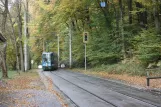 Graz Straßenbahnlinie 1 mit Gelenkwagen 611 am Kroisbach (2008)