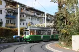 Graz Straßenbahnlinie 6 mit Gelenkwagen 507 am St. Peter (2008)